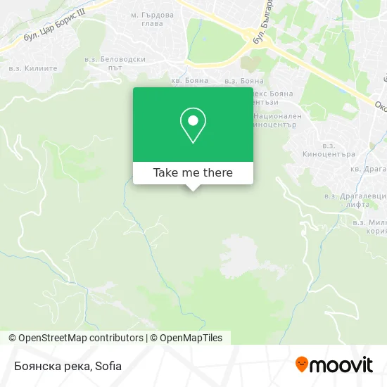 Карта Боянска река