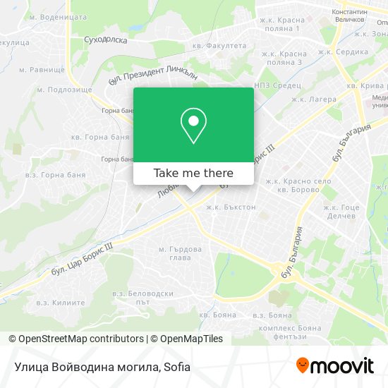 Улица Войводина могила map