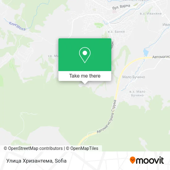 Карта Улица Хризантема