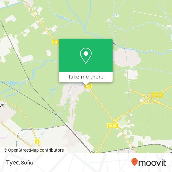 Туес map