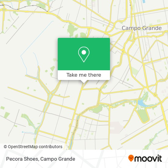 Pecora Shoes map