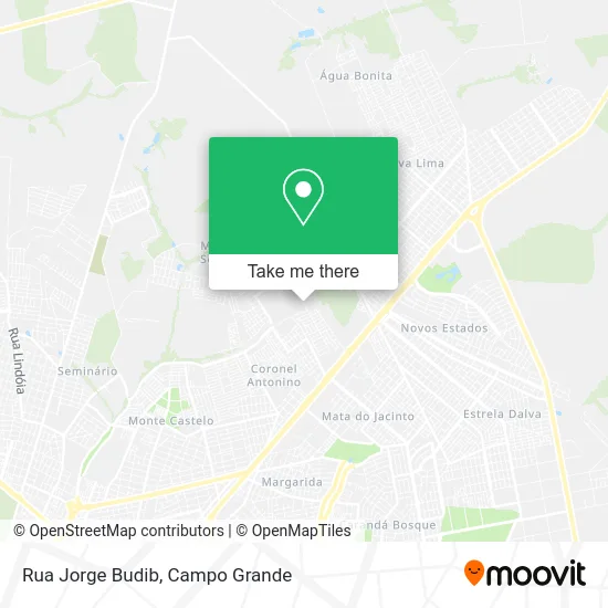 Rua Jorge Budib map