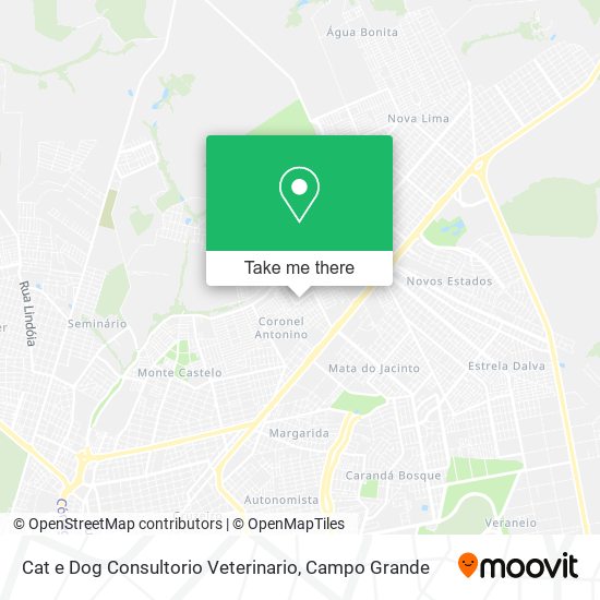 Cat e Dog Consultorio Veterinario map