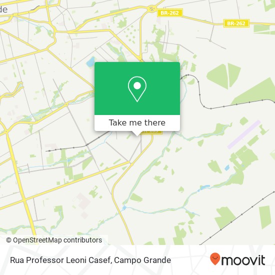Rua Professor Leoni Casef map