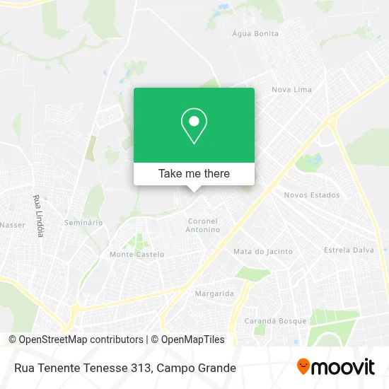 Rua Tenente Tenesse 313 map