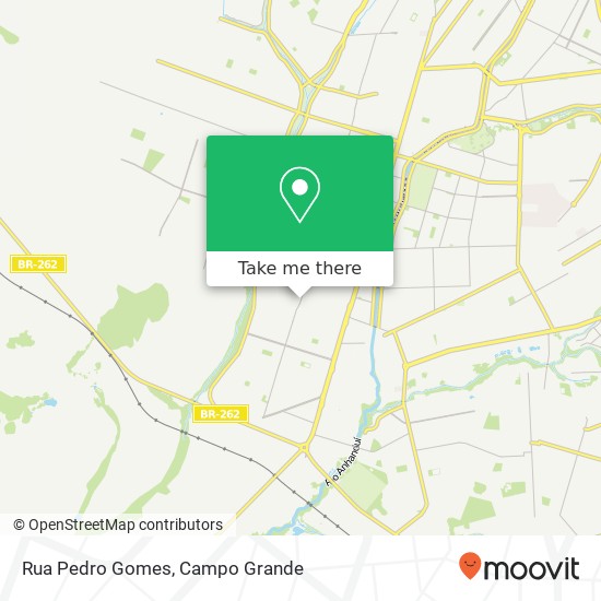 Rua Pedro Gomes map