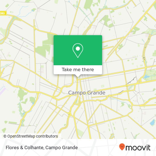Flores & Colhante, Rua dos Ferroviários, 239 Cabreúva Campo Grande-MS 79008-420 map
