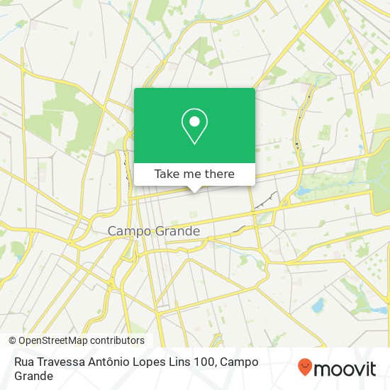 Rua Travessa Antônio Lopes Lins 100 map