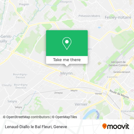 Lenaud-Diallo le Bal Fleuri map