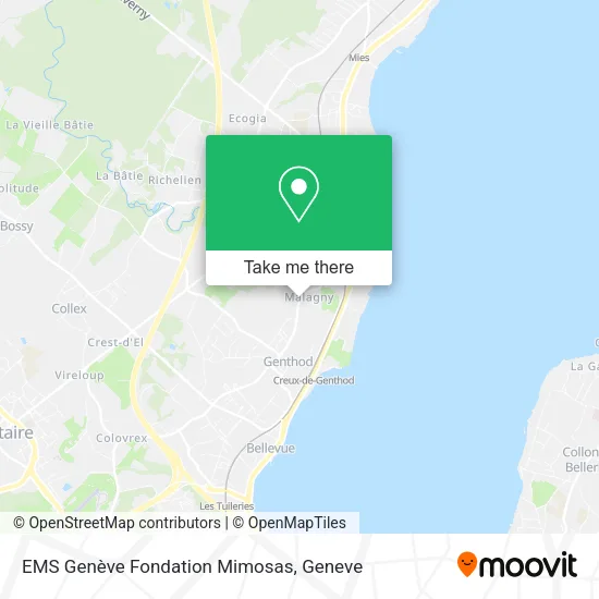 EMS Genève Fondation Mimosas map