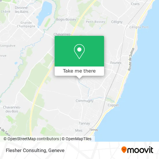 Flesher Consulting map