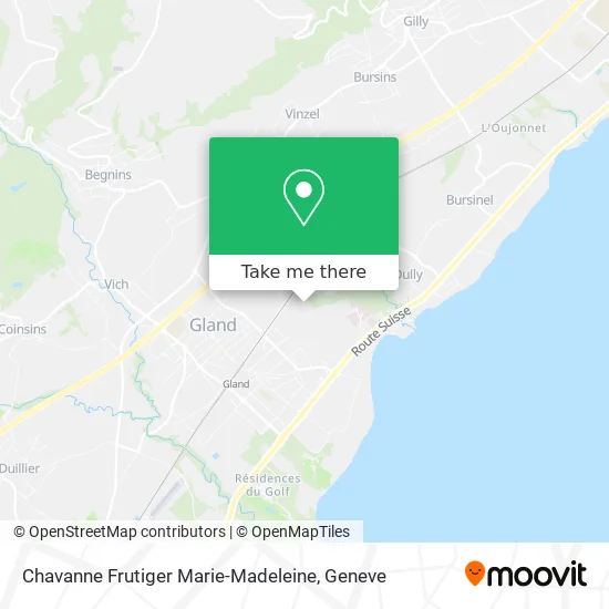 Chavanne Frutiger Marie-Madeleine map