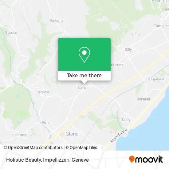 Holistic Beauty, Impellizzeri map