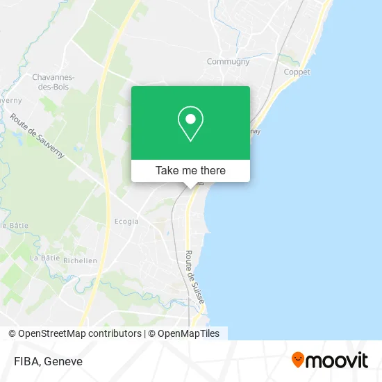 FIBA plan