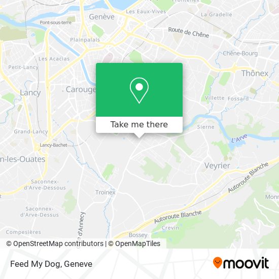 Feed My Dog map