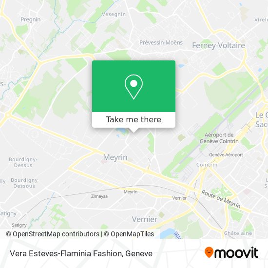 Vera Esteves-Flaminia Fashion map