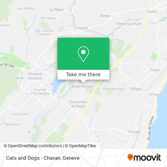 Cats and Dogs - Chavan map