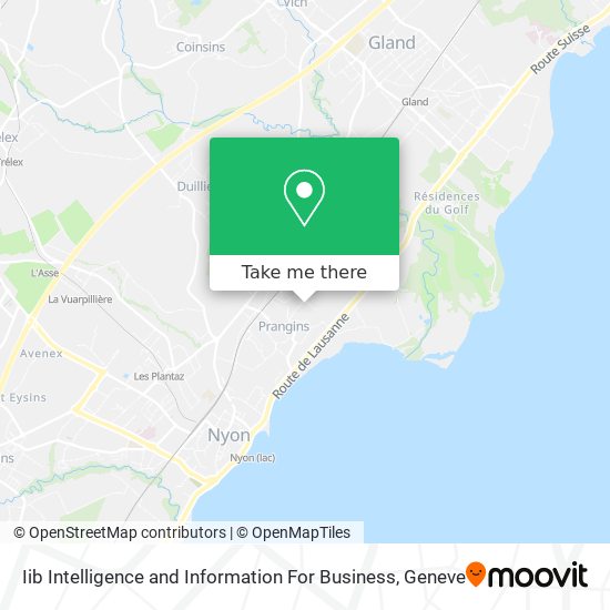 Iib Intelligence and Information For Business map