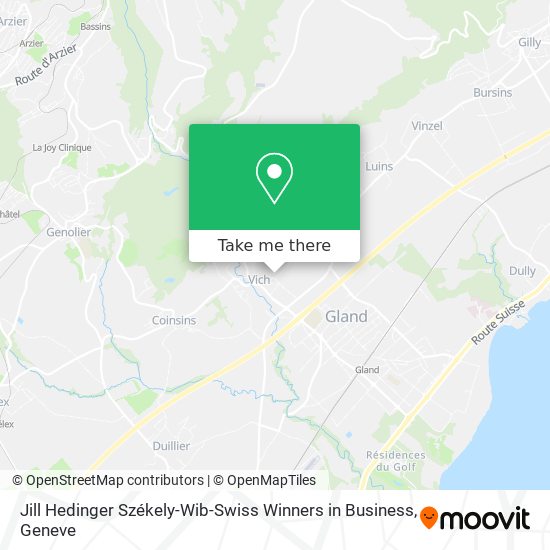 Jill Hedinger Székely-Wib-Swiss Winners in Business map