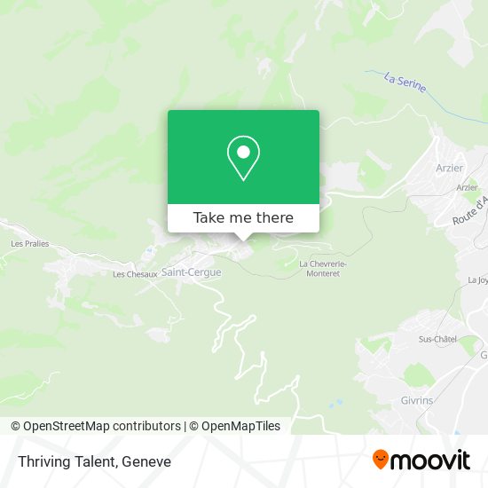 Thriving Talent map