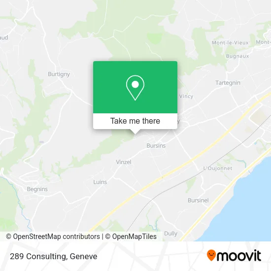289 Consulting map