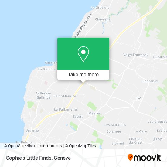 Sophie's Little Finds map
