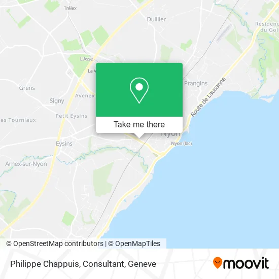 Philippe Chappuis, Consultant map