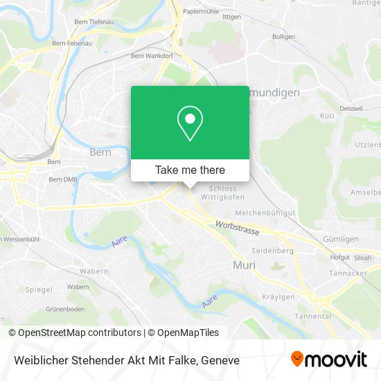 Weiblicher Stehender Akt Mit Falke map