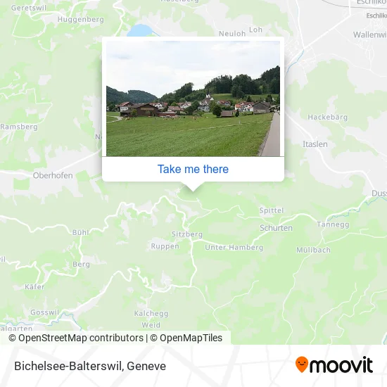 Bichelsee-Balterswil map