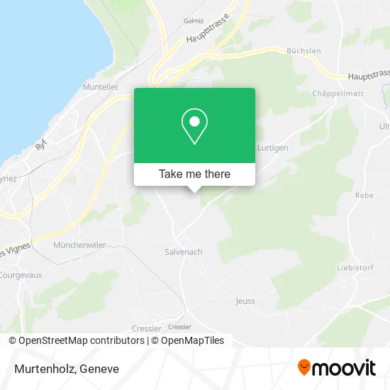 Murtenholz map