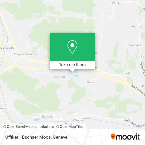 Uffiker - Buchser Moos map