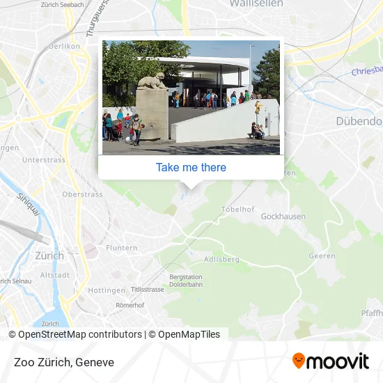 Zoo Zürich map