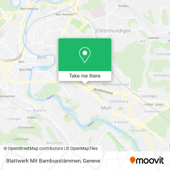 Blattwerk Mit Bambusstämmen map