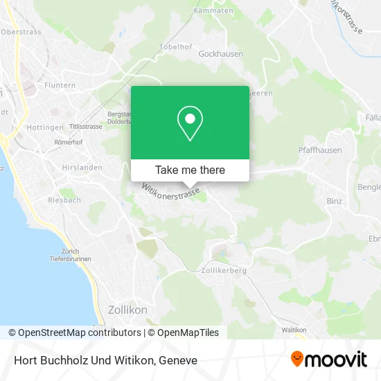 Hort Buchholz Und Witikon map