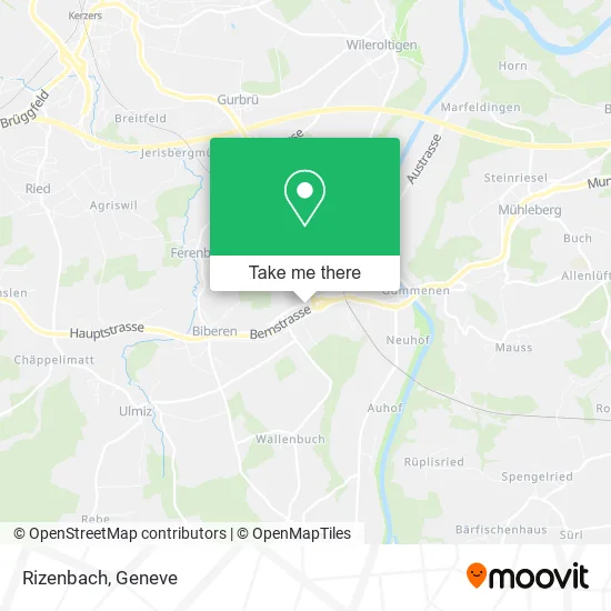 Rizenbach map