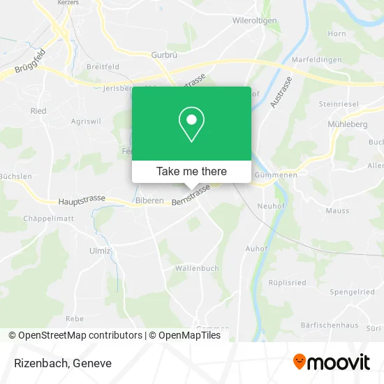 Rizenbach map