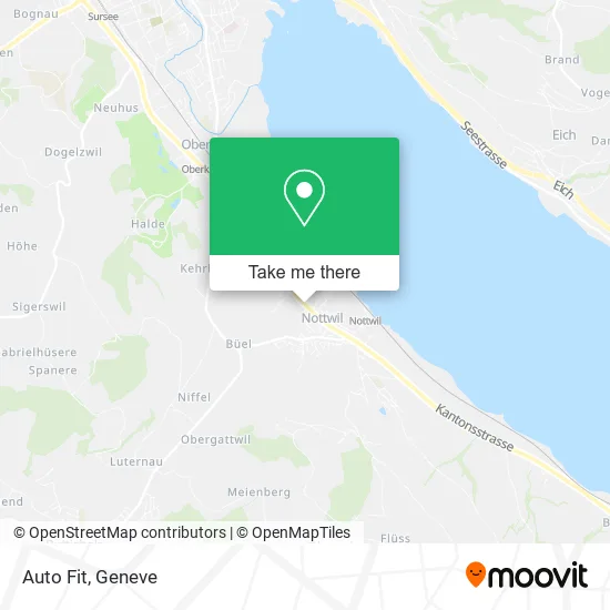 Auto Fit map