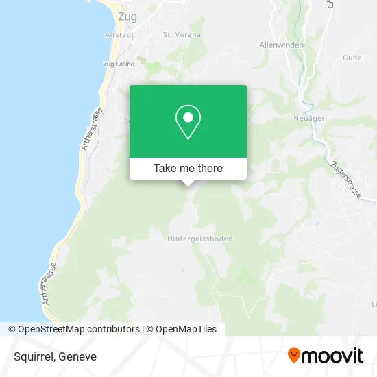 Squirrel map