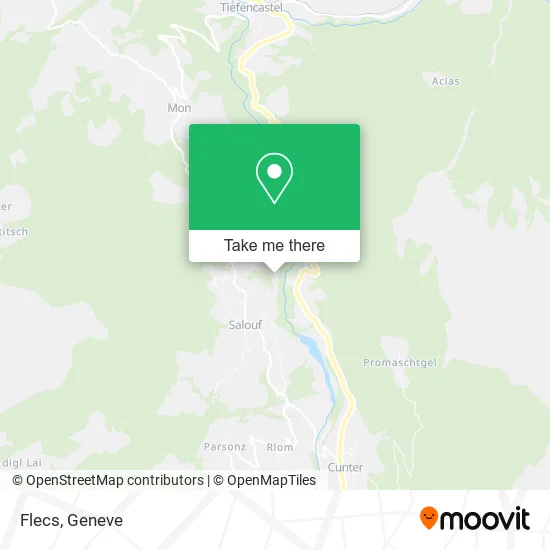 Flecs map