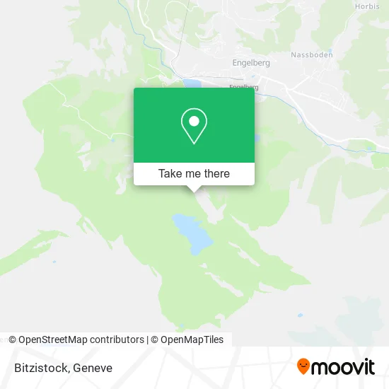 Bitzistock map