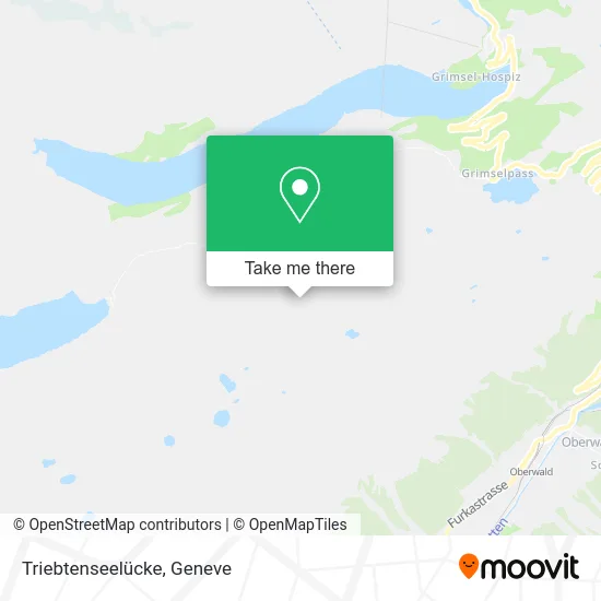 Triebtenseelücke map