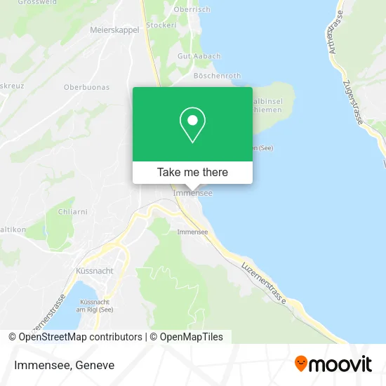 Immensee map