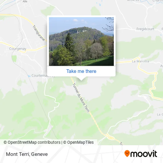 Mont Terri map