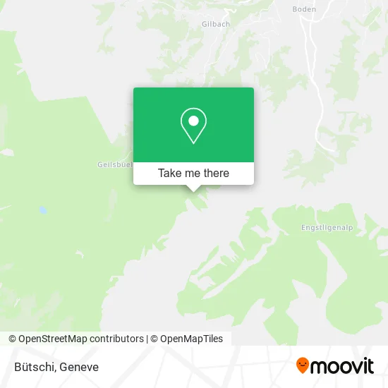 Bütschi map