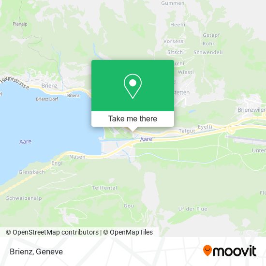 Brienz map