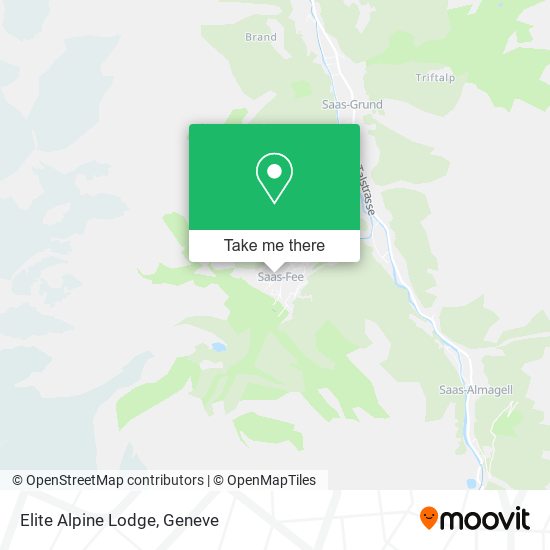 Elite Alpine Lodge plan