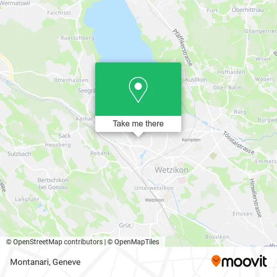 Montanari plan