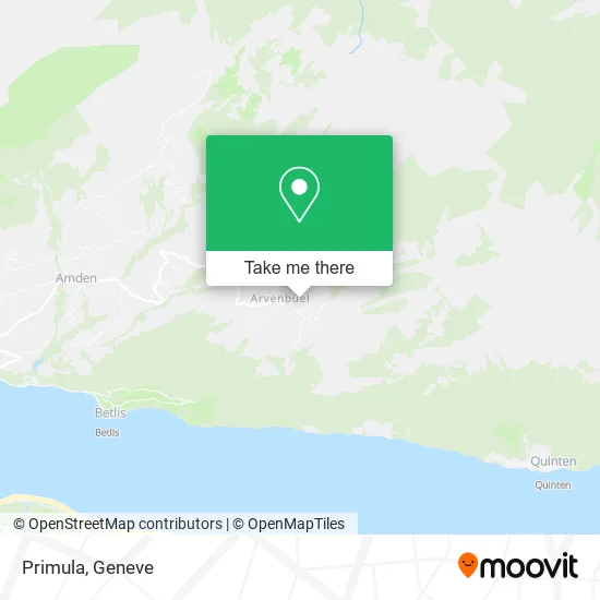 Primula map