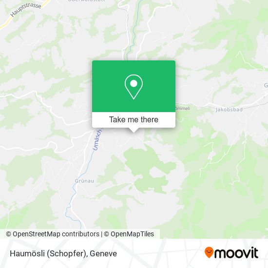 Haumösli (Schopfer) map