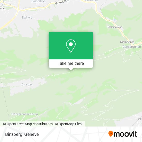 Binzberg map